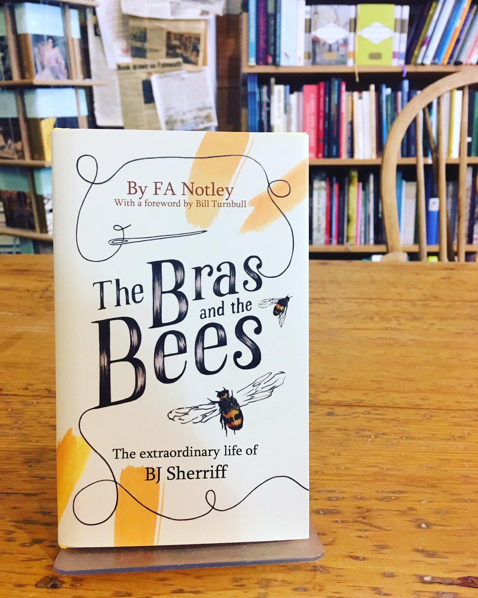 The Bras and The Bees book_launch.jpg